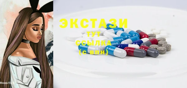 индика Богородск