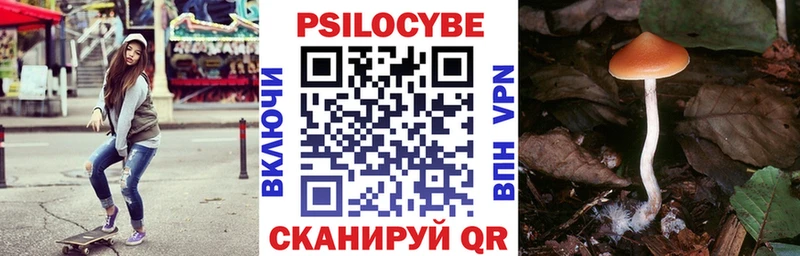 гидра как войти  Лесосибирск  Галлюциногенные грибы мицелий 