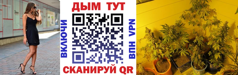 Каннабис SATIVA & INDICA  Лесосибирск 